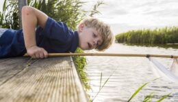 Nieuwkoopse Plassen