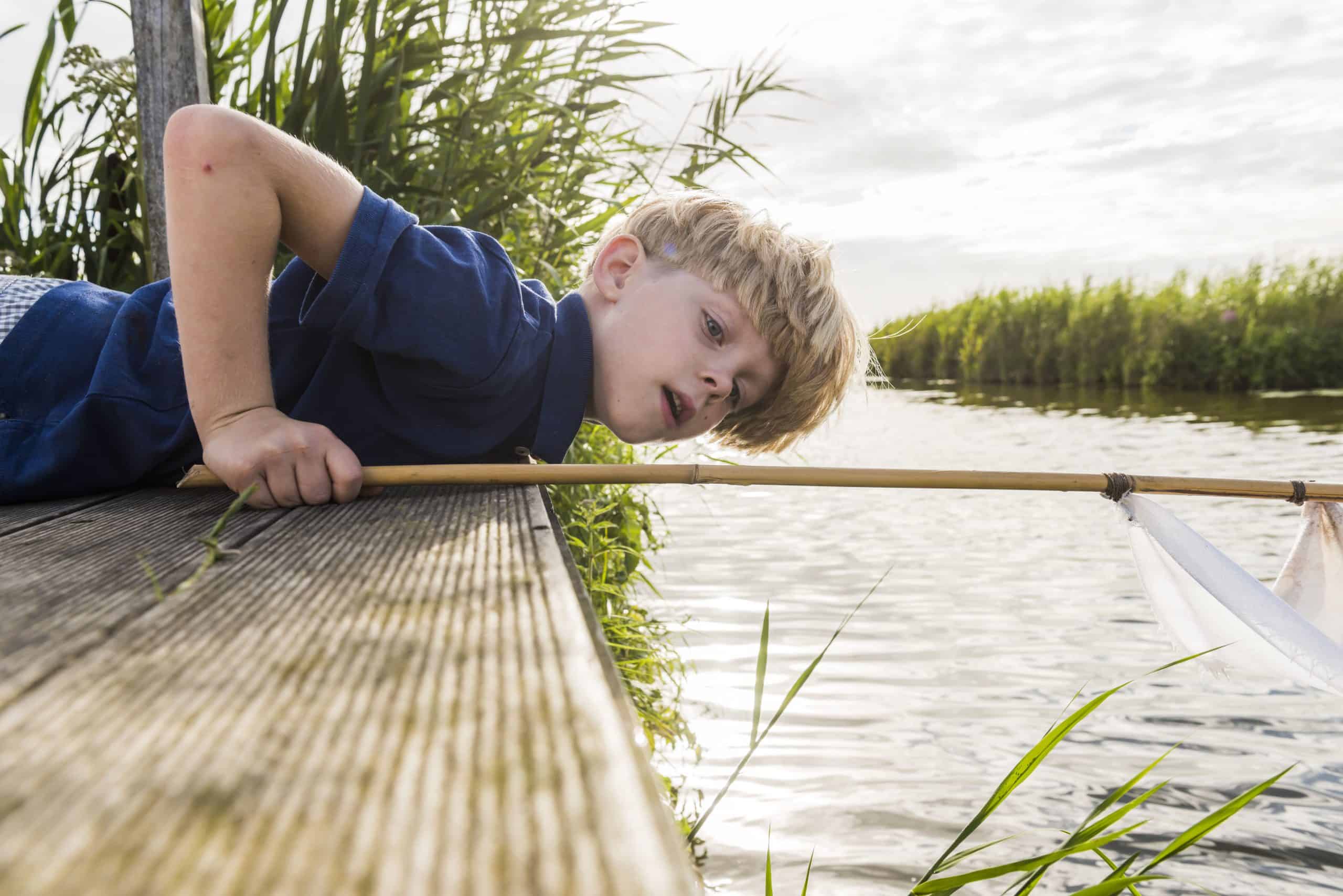 Nieuwkoopse Plassen