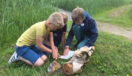 jeugdnatuurclub