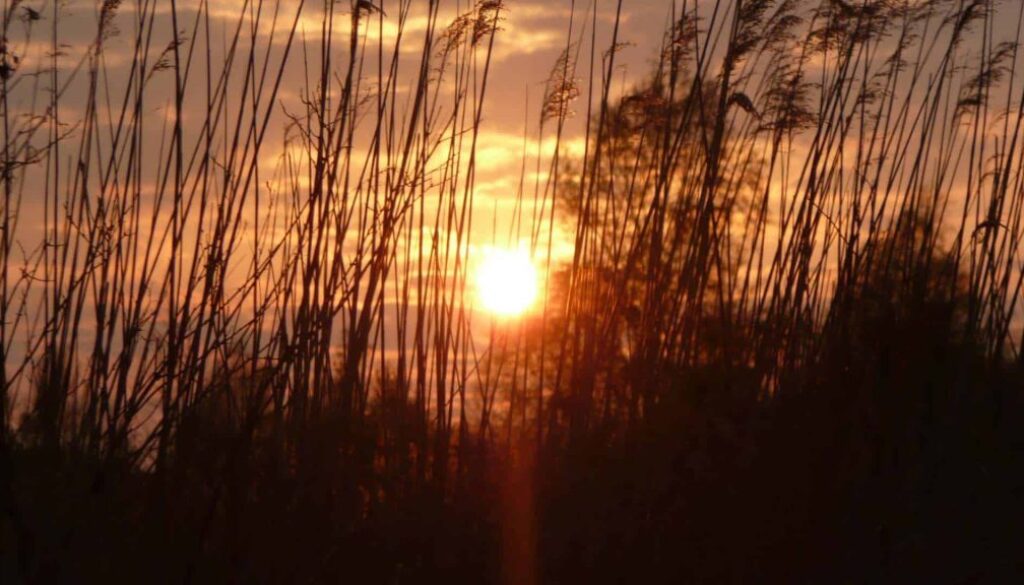 avond-zon