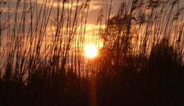 avond-zon