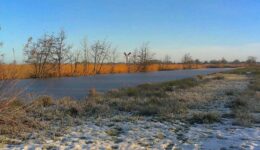 ribbe winter molen-1