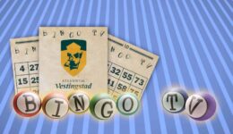 Bingo TV thumbnail Steenwijk