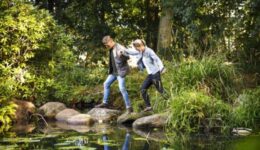 Beeld-WW-bij-Persbericht