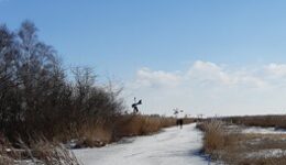 schaatsen de weerribben (Foto Pixabay)