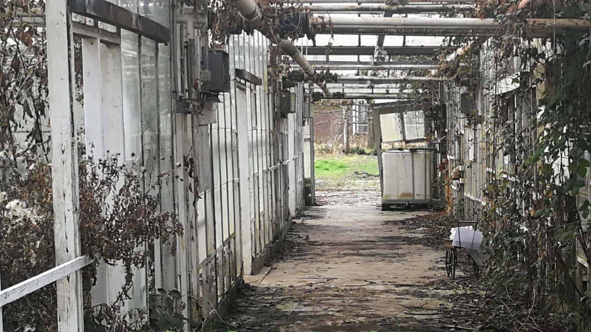 Fotowedstrijd Kijk op de Kas