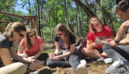 afbeeldingNatureBitskopie