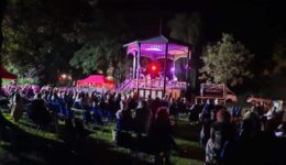 The radiators - live in het park - foto 3