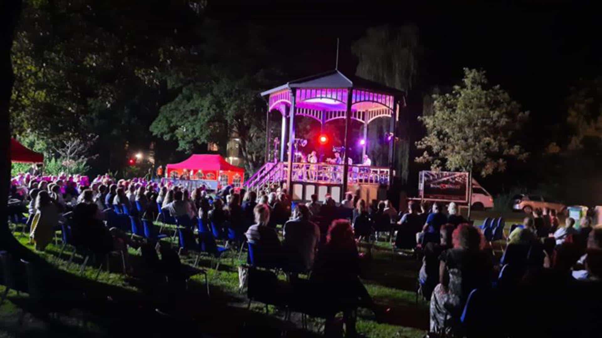 The radiators - live in het park - foto 3