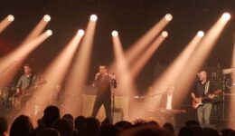 The radiators - live in het park