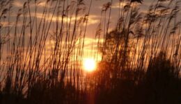 avondzon