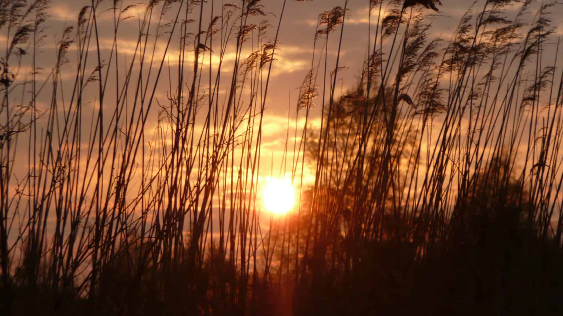 avondzon