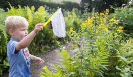 levende tuin