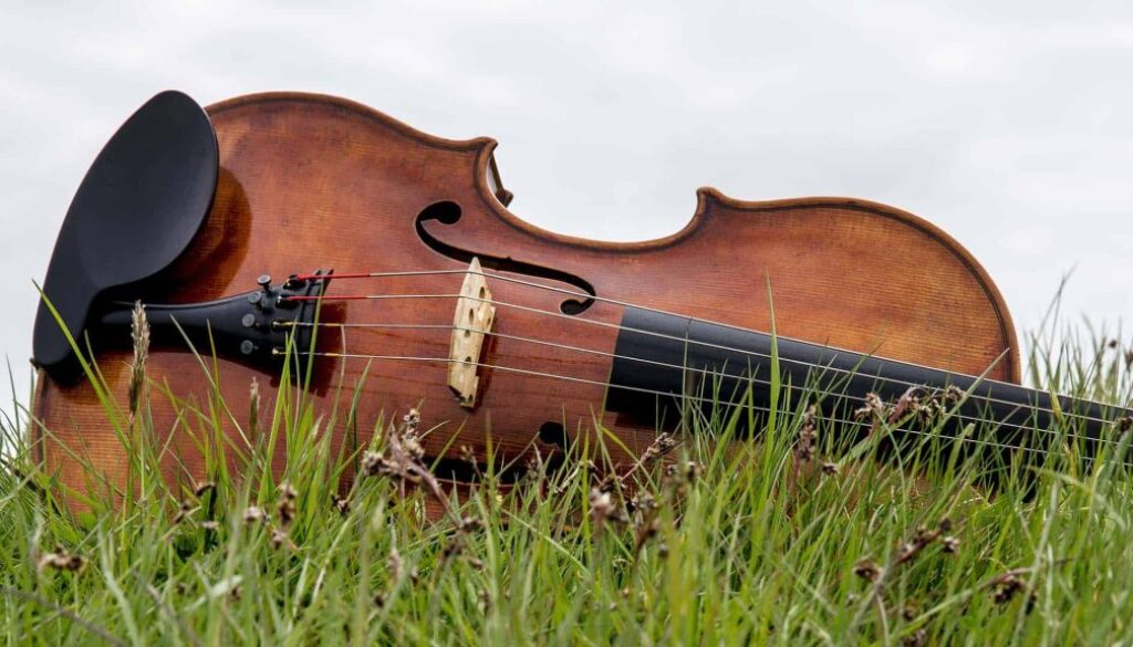 muziek in de natuur