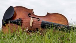 muziek in de natuur