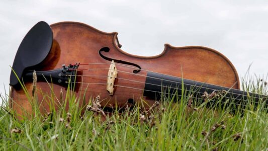 muziek in de natuur
