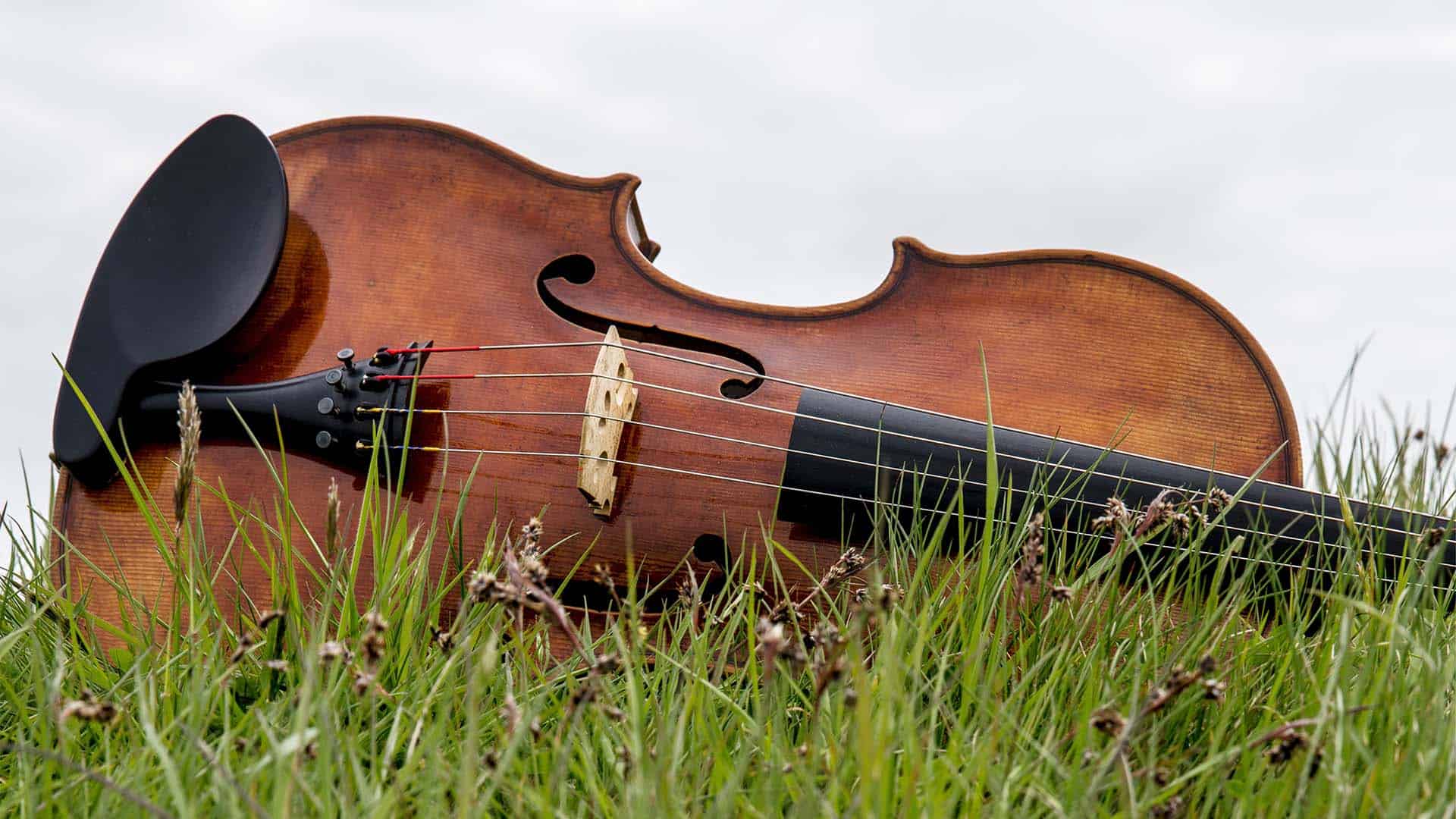 muziek in de natuur