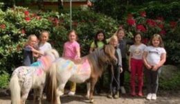 paardjes