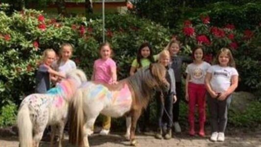 paardjes