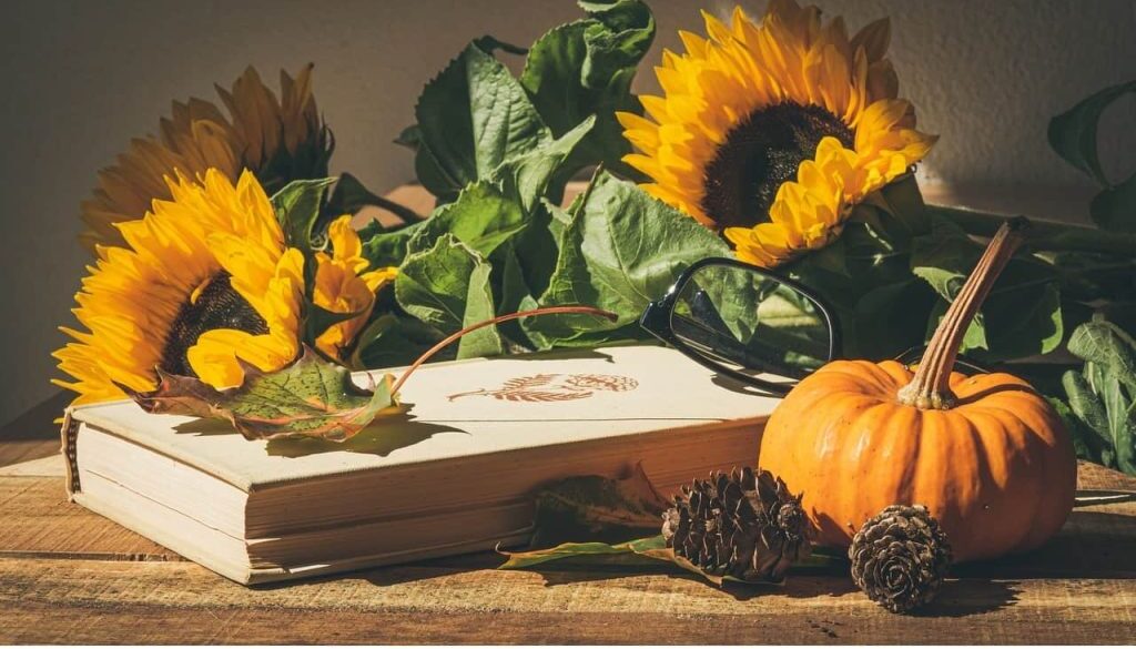 start herfst (Foto Pixabay)