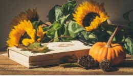 start herfst (Foto Pixabay)