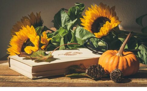 start herfst (Foto Pixabay)