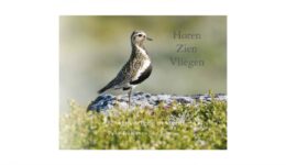 Cover Boek Horen Zien Vliegen