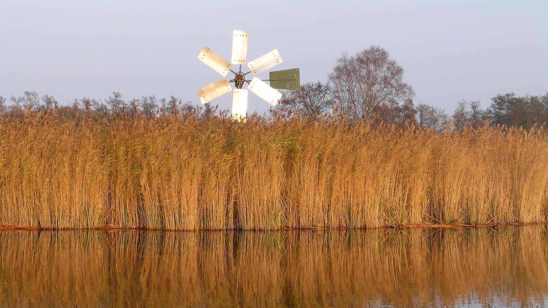 NMRG31217 herfstbeeld de wieden foto Natuurmonumenten Ronald Messemaker