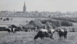 kerk-2