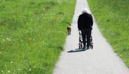mobiliteit (Foto Pixabay)