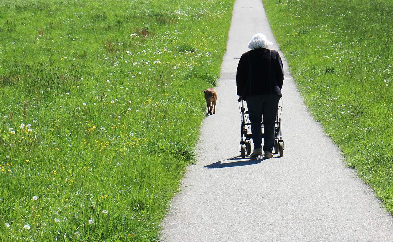 mobiliteit (Foto Pixabay)