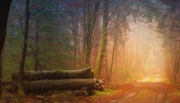 oktober (Foto Pixabay)