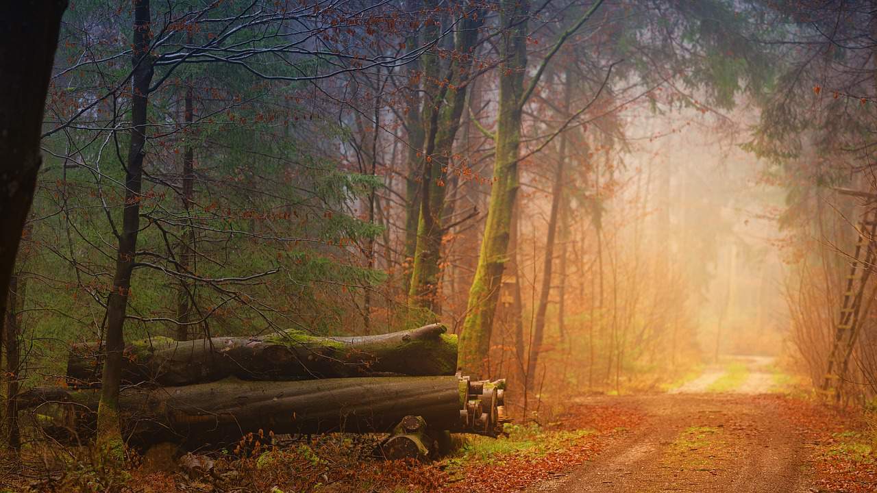 oktober (Foto Pixabay)