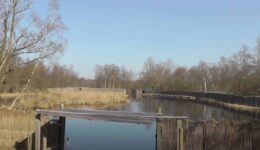 Foto Staatsbosbeheer