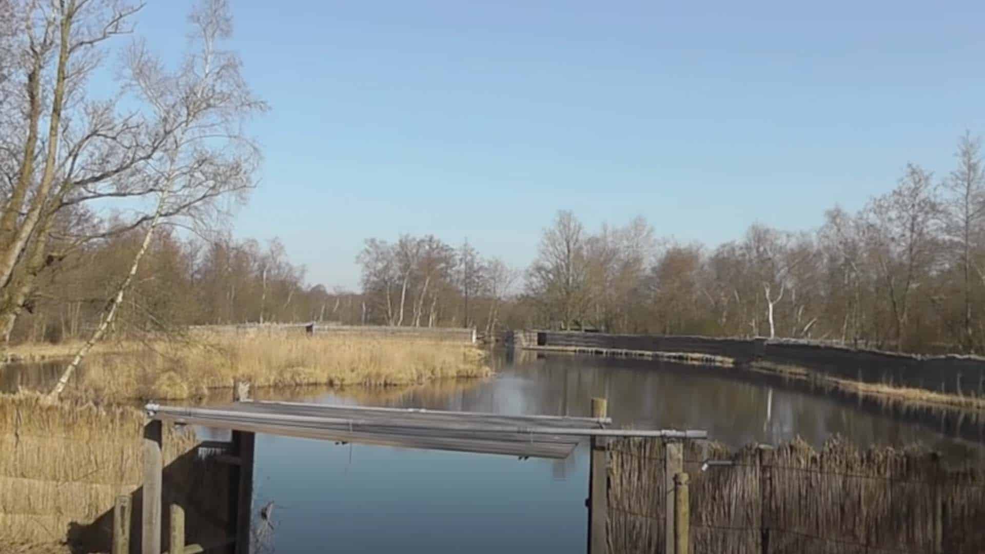 Foto Staatsbosbeheer
