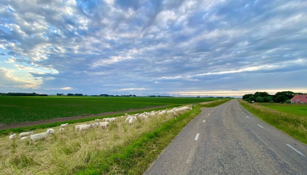 Uitzicht vanaf de Kuinderdijk richting Baarlo. Links moet een gloednieuw zonnepark komen