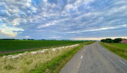 Uitzicht vanaf de Kuinderdijk richting Baarlo. Links moet een gloednieuw zonnepark komen