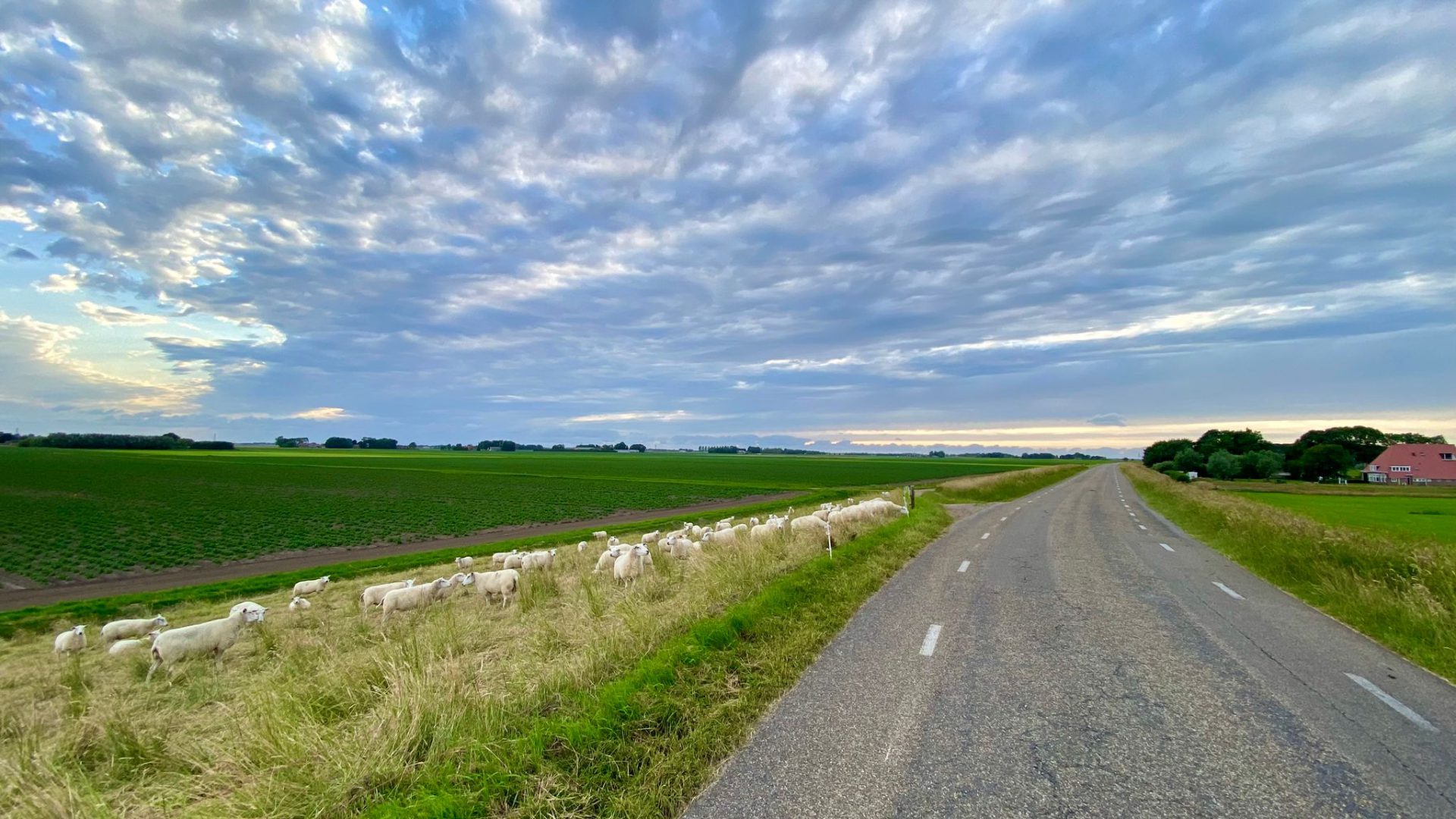 Uitzicht vanaf de Kuinderdijk richting Baarlo. Links moet een gloednieuw zonnepark komen