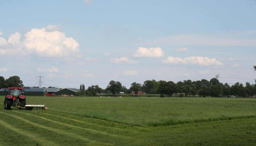 Kaalslag dreigt op het platteland