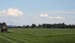 Kaalslag dreigt op het platteland