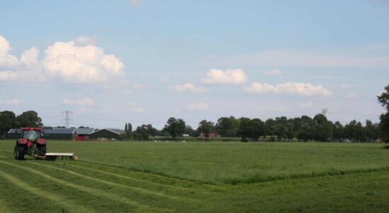 Kaalslag dreigt op het platteland