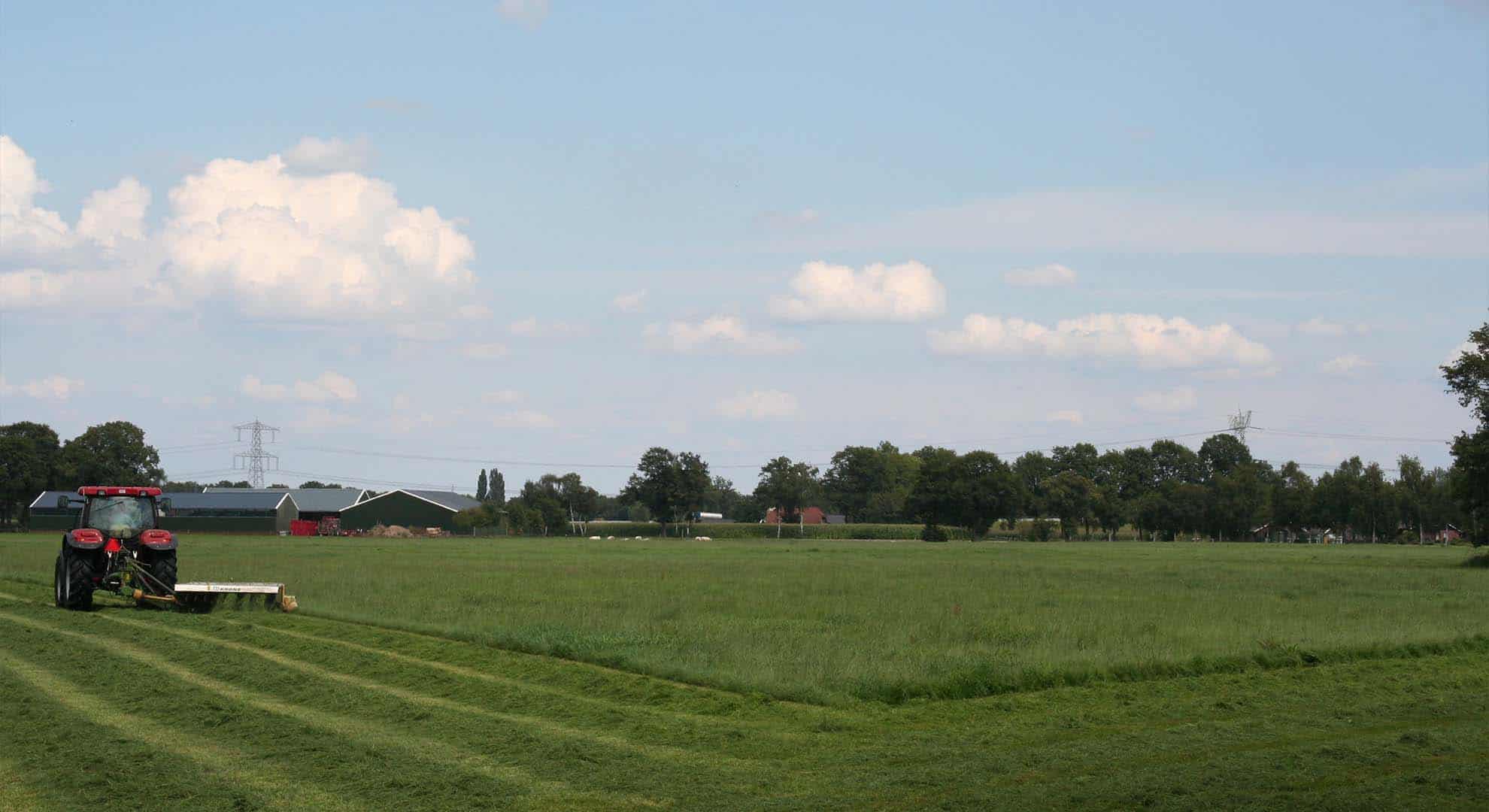 Kaalslag dreigt op het platteland