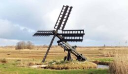 tjasker weerribben colette de haas