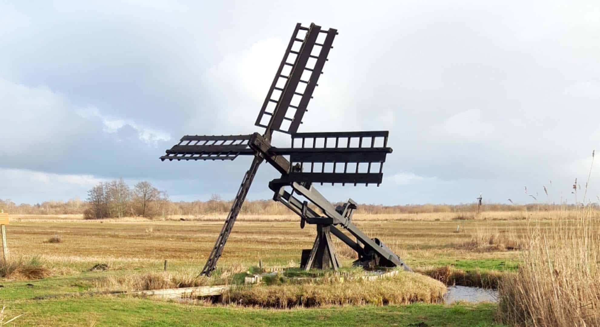 tjasker weerribben colette de haas