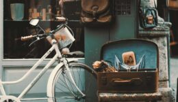 vintage (Foto Pixabay)