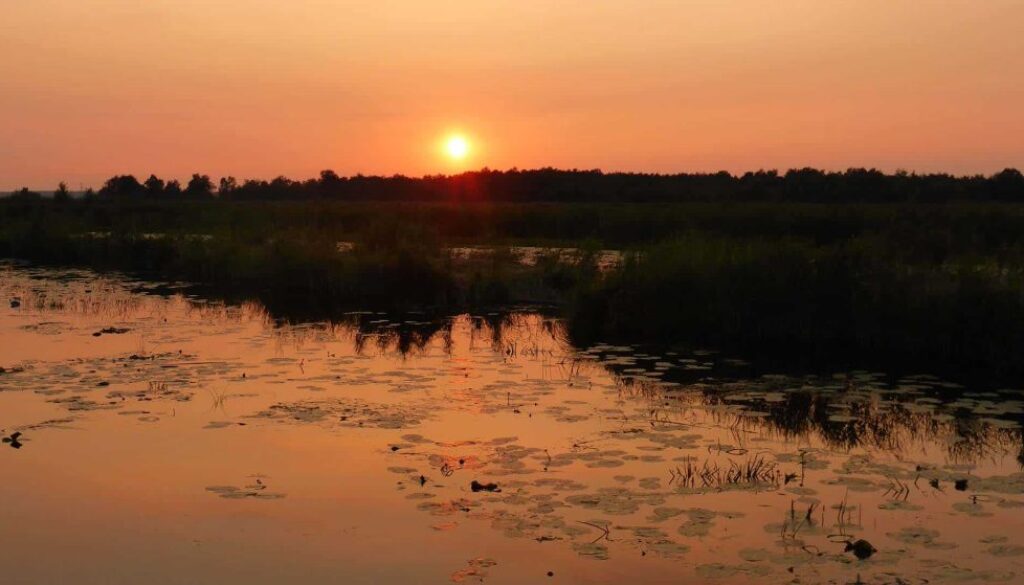 zonsondergang tiemen