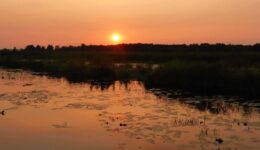 zonsondergang tiemen