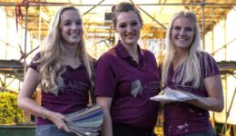 Alliance figuratie