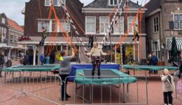 Bungee trampoline
