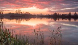 kleurrijk avondlicht